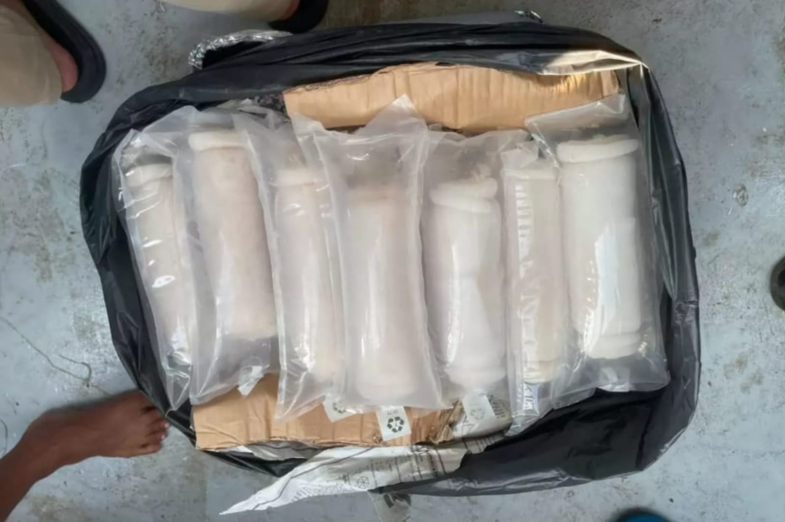 Operasi Gabungan Gagalkan Penyelundupan Baby Lobster Senilai Miliaran Rupiah di Batam