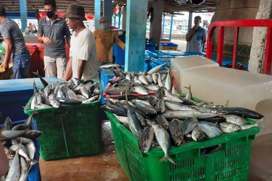 Produksi Ikan Kepri Melimpah, Jadi Andalan Tekan Inflasi dan Jaga Harga Pangan