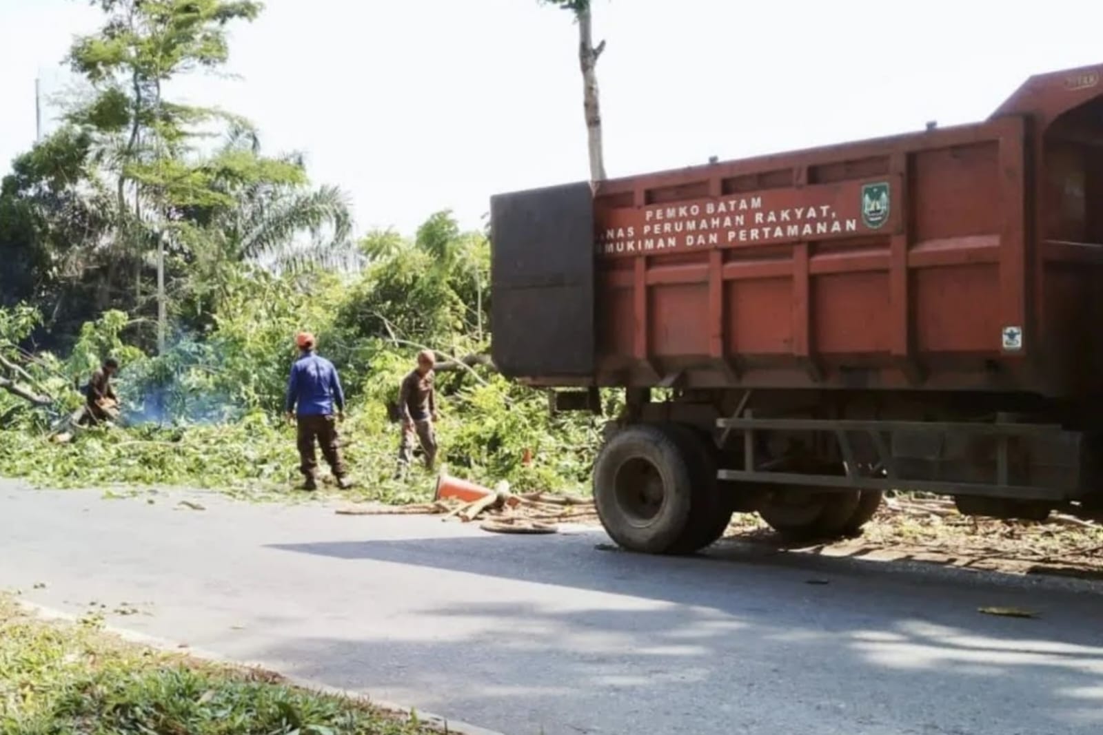 Demi Keselamatan Pengendara, Disperkimtan Batam Pangkas Pohon di Titik Rawan