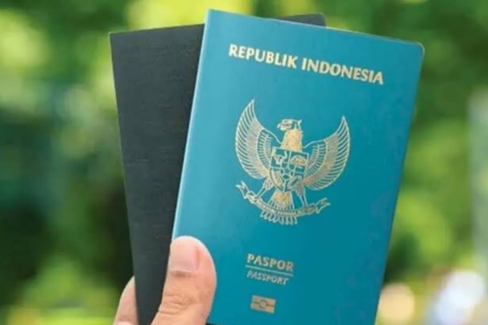 Bikin Paspor Jadi Gampang, Imigrasi Kepulauan Riau Gelar Eazy 1000 Passport