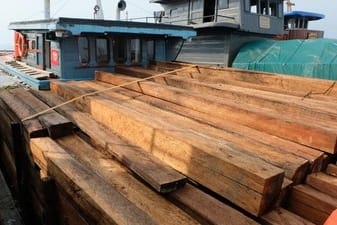 Patroli Laut Bea Cukai Amankan Kapal Bermuatan Kayu Tanpa Dokumen di Perairan Kepulauan Riau