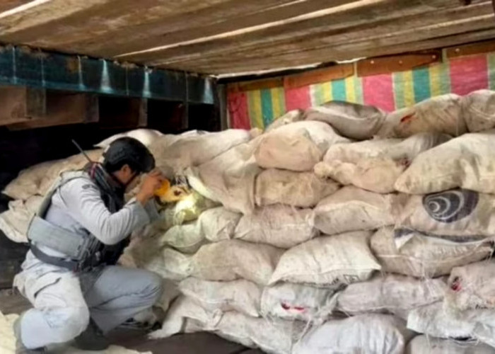 Aksi Selundup Bawang Gagal Total, Kapal Tanpa Izin Diciduk di Perairan Kepulauan Riau 