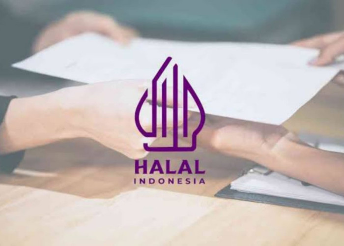 Kemenag Kepri Sediakan 4000 Sertifikasi Halal Gratis, Begini Cara Cepat Daftarnya