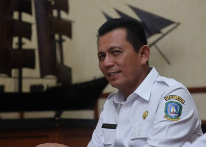 Heboh 4 Pulau di Kepri Muncul di Situs Jual Beli Internasional, Gubernur Turun Tangan