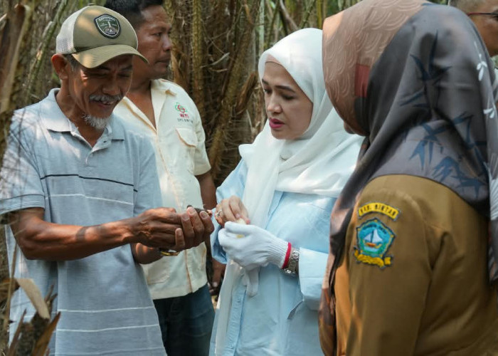 Wagub Nyanyang Dorong Salak Sari Intan Jadi Komoditas Unggulan Pertanian Kepri