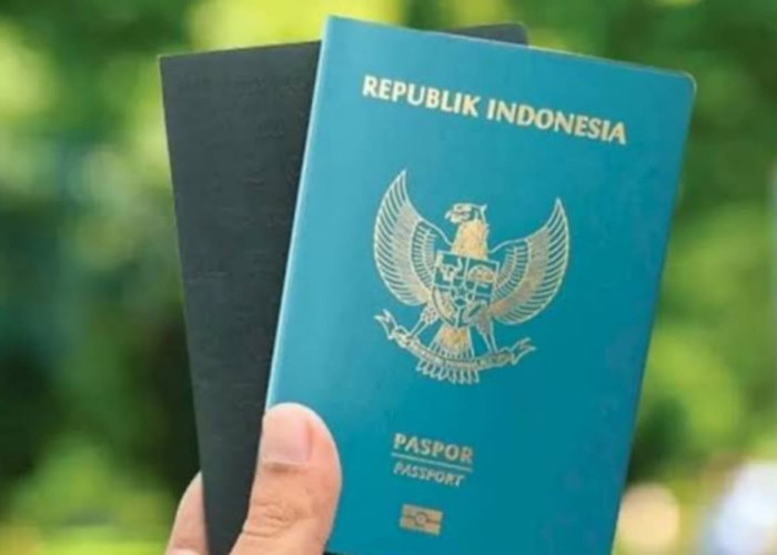 Bikin Paspor Jadi Gampang, Imigrasi Kepulauan Riau Gelar Eazy 1000 Passport