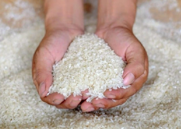 Gubernur Kepri Pastikan Stok Beras Premium Aman Jelang Libur Natal dan Tahun Baru