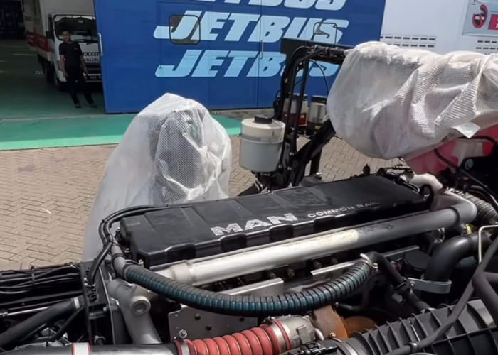 PO Gunung Harta Siap Guncang Dunia Perbusan dengan MAN RR4 480, Saingan Baru Volvo