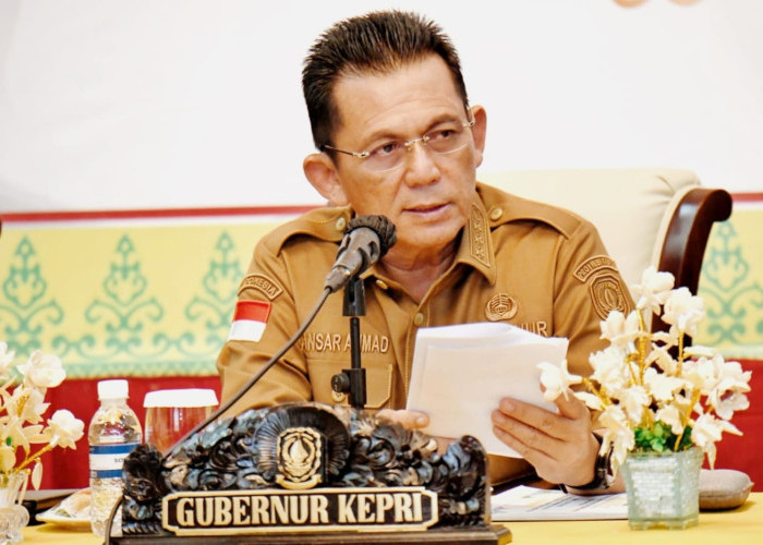 Gizi Gratis dan Lawan TBC, 2 Misi Penting Kepulauaan Riau dari Presiden Prabowo