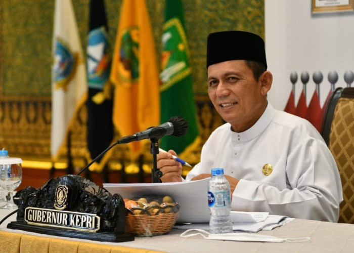 Gubernur Ansar Resmikan Listrik 24 Jam di Natuna Kepri, Warga Pulau Panjang Antusias