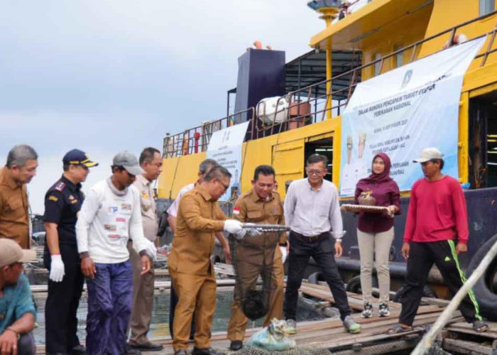 Kirim 7 Ton Ikan ke Hongkong, Kepri Jawara Ekspor Ikan Kerapu ke Internasional 