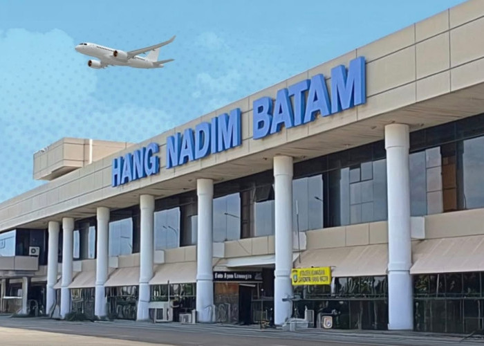 Genjot Ekonomi Pariwisata, Wagub Kepri Minta DPD RI Tambah Rute Penerbangan