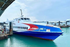 Ombak 3 Meter Hantam Kapal Ferry Dumai–Batam, Ini Penjelasan Operator